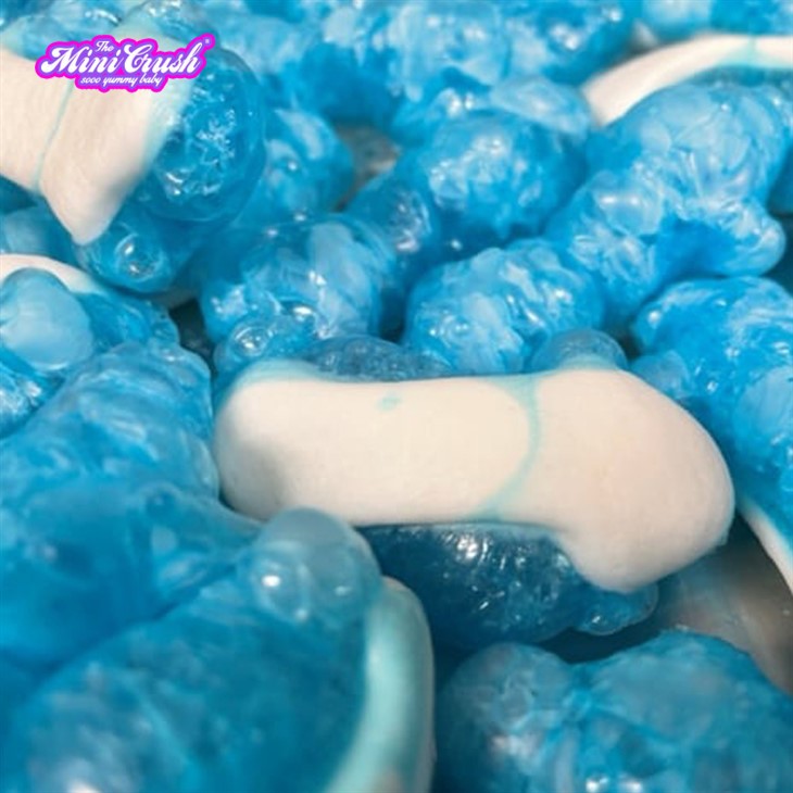 Freeze Dried Crunchy Shark suppliers